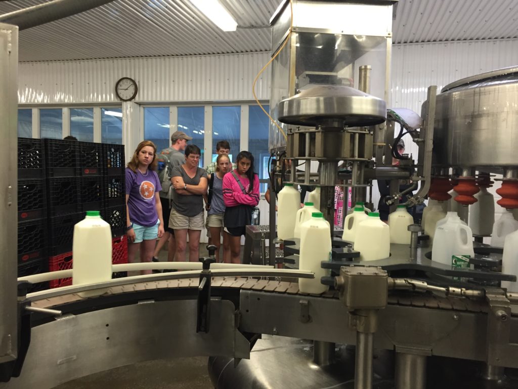 4-H kids at a diary farm plant