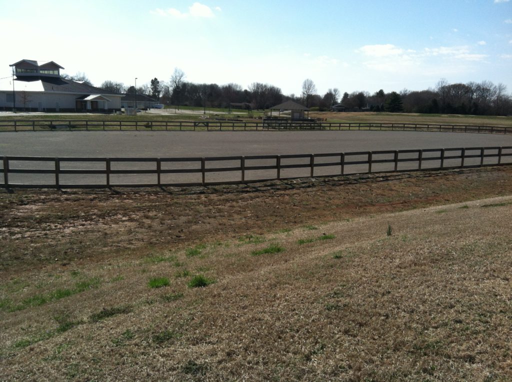 Horse Arena