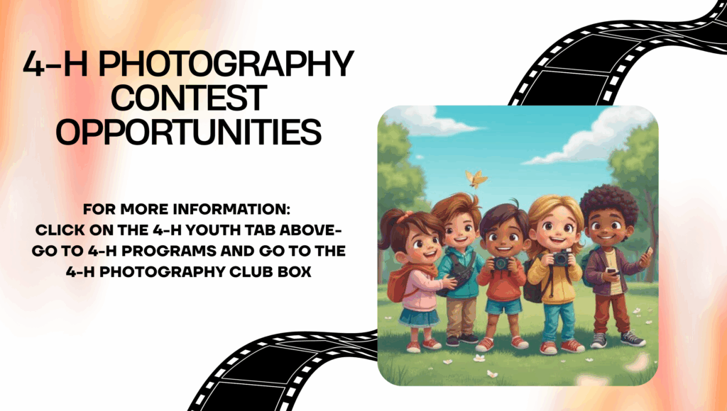 IMAGE SAYS FOR MORE INFORMATION: CLICK ON THE 4-H YOUTH TAB ABOVE-GO TO 4-H PROGRAMS AND GO TO THE 4-H PHOTOGRAPHY CLUB BOX