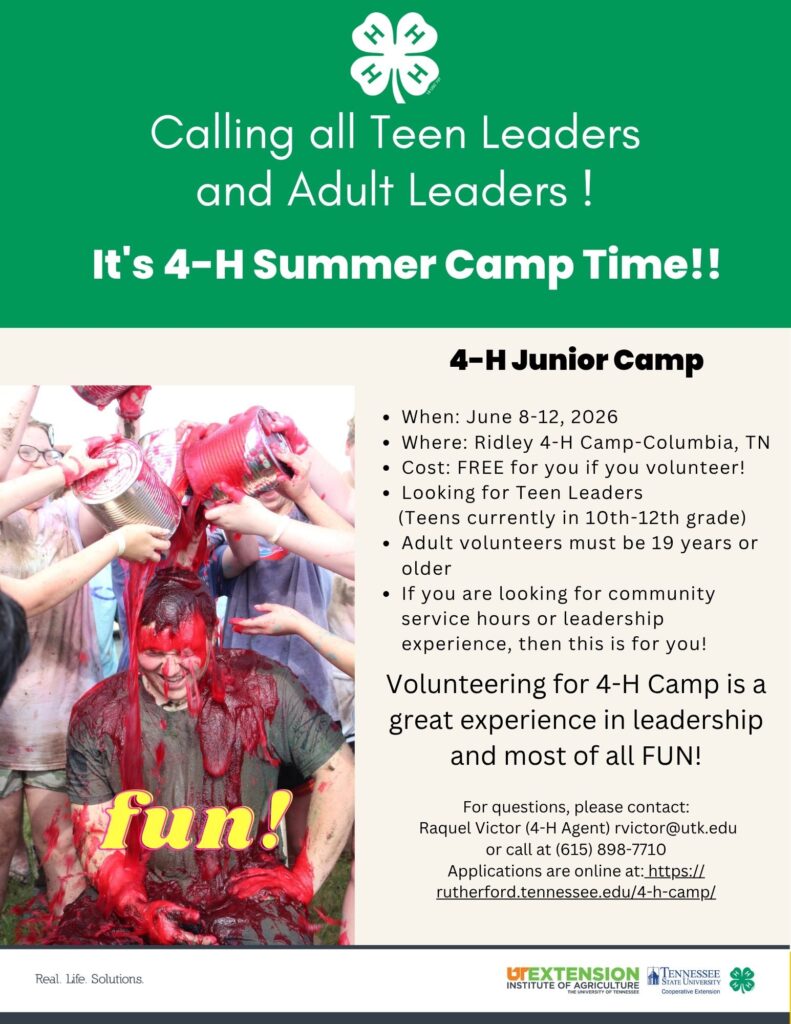 flyer to promote teen leaders and adults to be a camp volunteer
